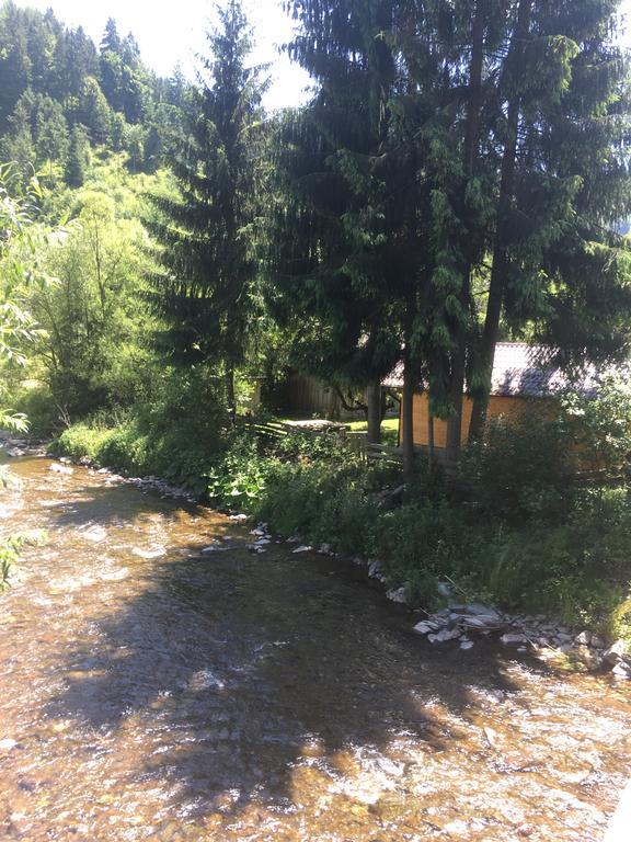 Cabana Felyviss Gîrda de Sus Zewnętrze zdjęcie