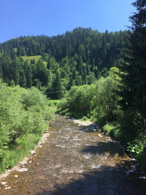 Cabana Felyviss Gîrda de Sus Zewnętrze zdjęcie